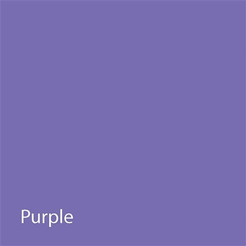 NAOL Chain Elastic Purple Short 15'