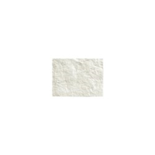 Cytoplast RTM Collagen Membrane 15 x 20mm 2 Pack