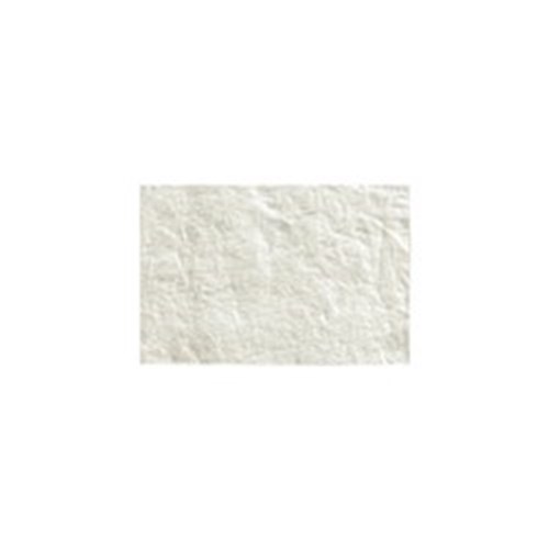 Cytoplast RTM Collagen Membrane 20 x 30mm 2 Pack