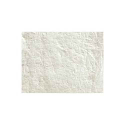 Cytoplast RTM Collagen Membrane 30 x 40mm 2 Pack