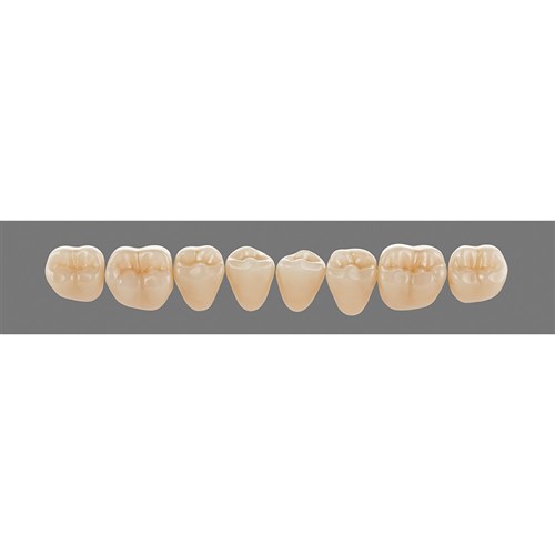 Vita Vitapan 3D, Lower, Posterior, Cuspiform, Shade 5M3, Mould  44CL