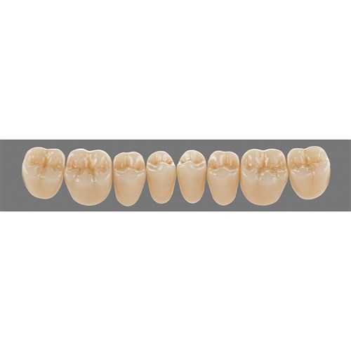 Lower 24L A4 Lingoform Teeth - Classical