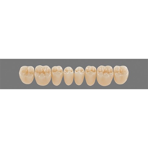 Lower 21L B3 Lingoform Teeth - Classical