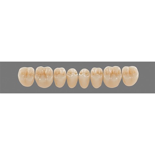 Lower 22L B4 Lingoform Teeth - Classical