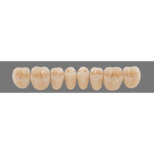 Lower 23L D3 Lingoform Teeth - Classical