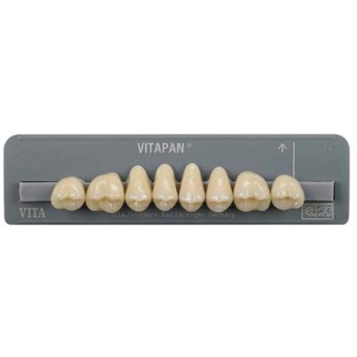 Vita Vitapan Classical Upper, Posterior, Synoform, Shade A2, Mould 13S