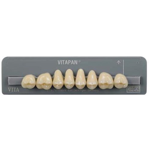 Vita Vitapan Classical Upper, Posterior, Cuspiform, Shade A3, Mould 40C