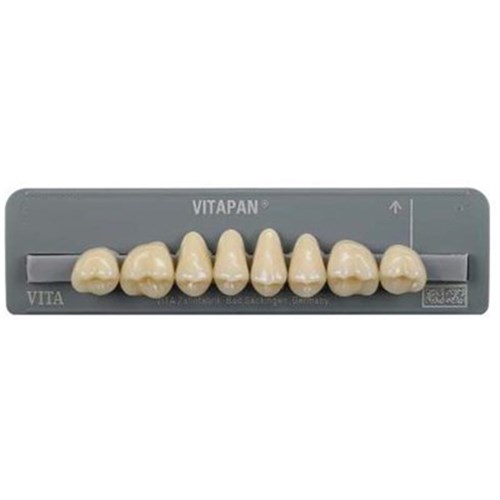 Vita Vitapan Classical Upper, Posterior, Cuspiform, Shade A3, Mould 40C