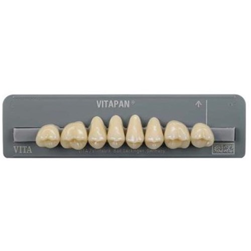 Vita Vitapan Classical Upper, Posterior, Cuspiform, Shade A3, Mould 41C