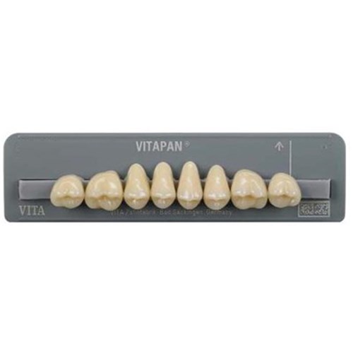 Vita Vitapan Classical Upper, Posterior, Cuspiform, Shade A3, Mould 44C