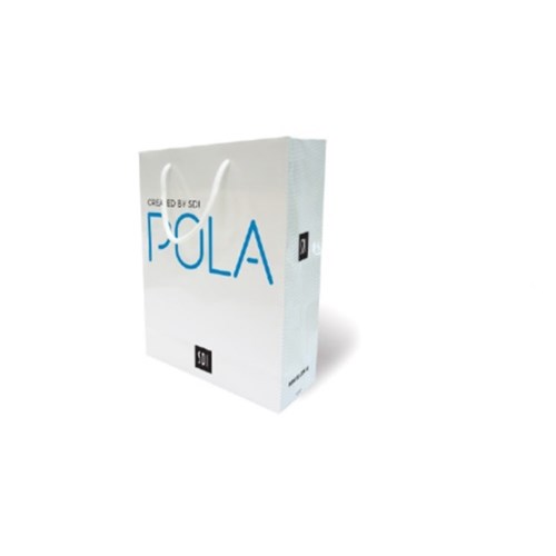 POLA Marketing Material Carry Bag