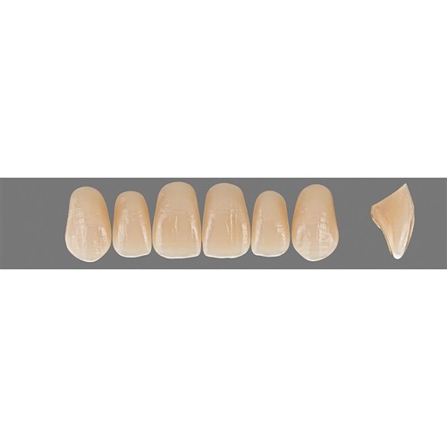 2R2.5 Upper O51 Anterior