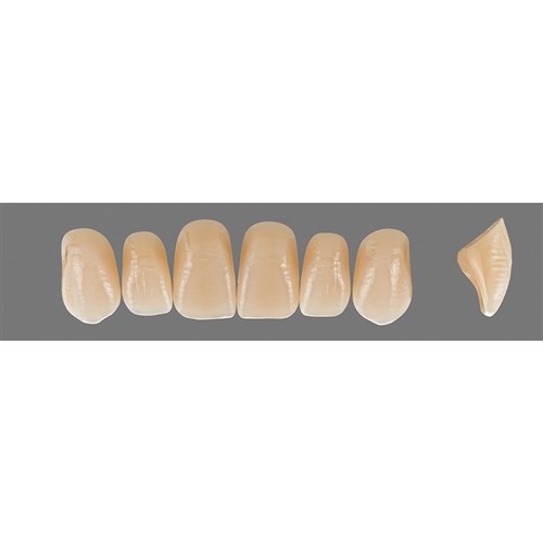 Vita Vitapan EXCELL Classical, Upper, Anterior, Shade A35, Mould T54