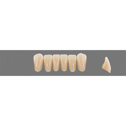 Vita Vitapan EXCELL Classical, Lower, Anterior, Shade B2, Mould L35