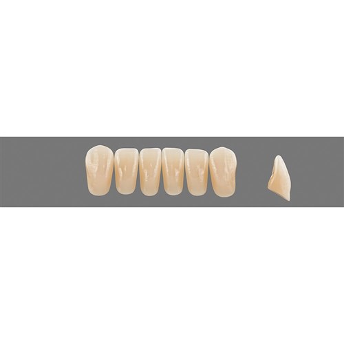 Vita Vitapan EXCELL Classical, Lower, Anterior, Shade B2, Mould L37