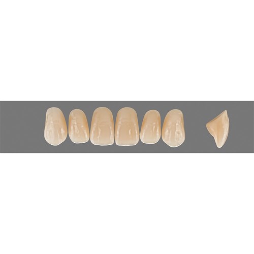 Vita Vitapan EXCELL Classical, Upper, Anterior, Shade B2, Mould T46