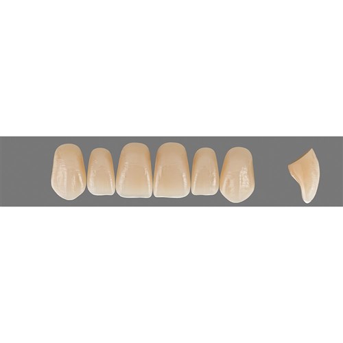 Vita Vitapan EXCELL Classical, Upper, Anterior, Shade B2, Mould T50