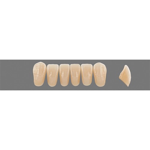 Vita Vitapan EXCELL Classical, Lower, Anterior, Shade D2, Mould L41