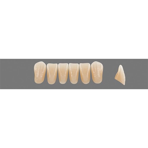 Vita Vitapan EXCELL Classical, Lower, Anterior, Shade D3, Mould L39