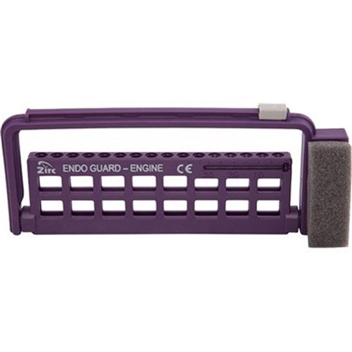 STERI ENDO Guard 11 Engine and 5 Hand Files Plum