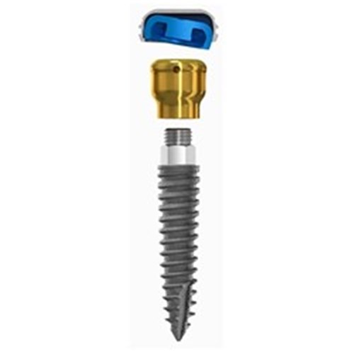 2.9mm 10mm 5mm