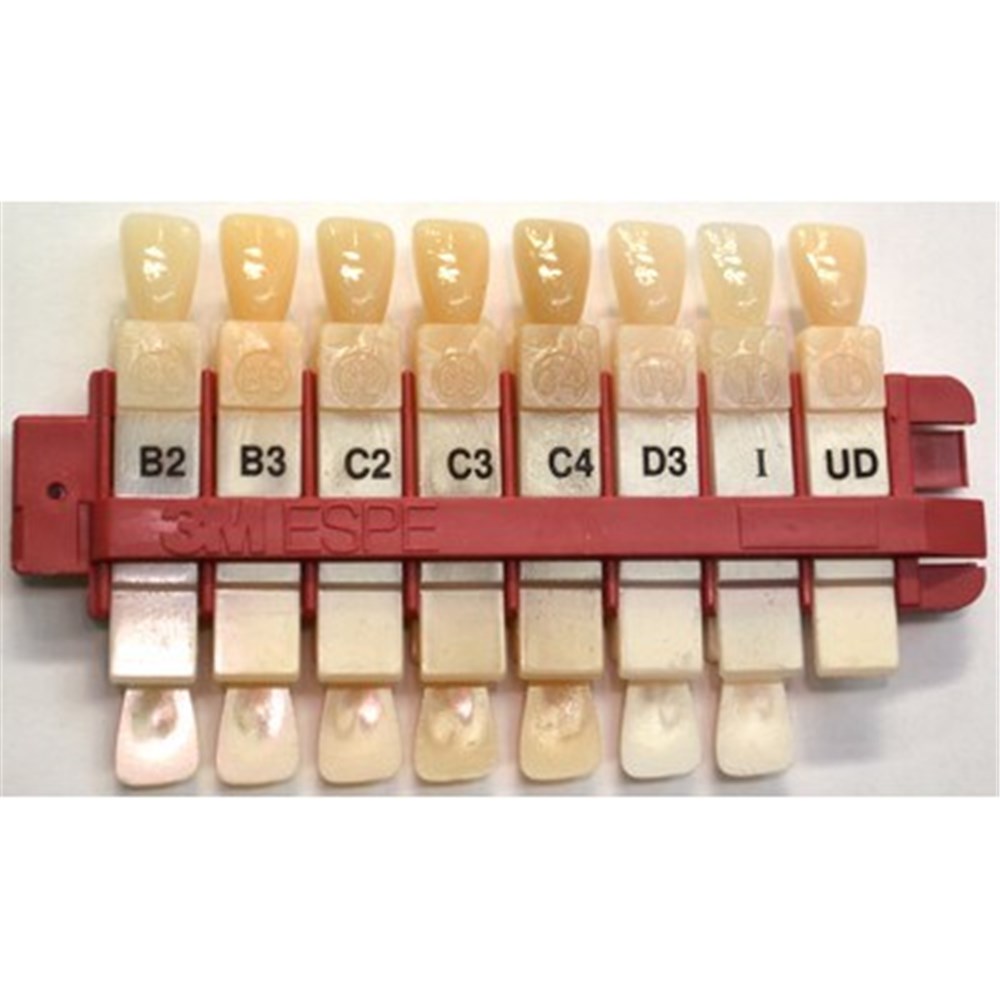 TM6020SG FILTEK Z250 Shade Guide Henry Schein Australian dental